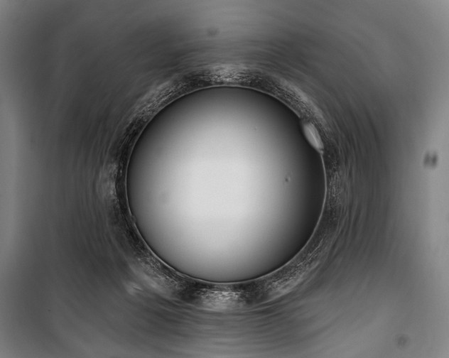 X0000101200217200806271358