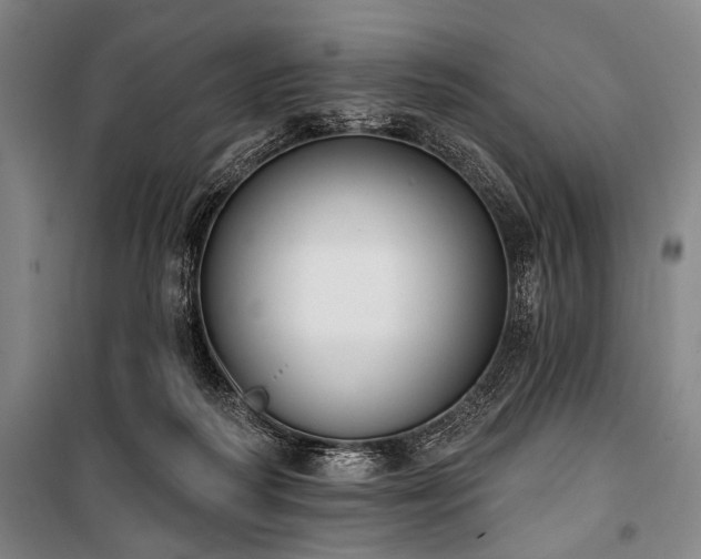 X0000101200218200806271358