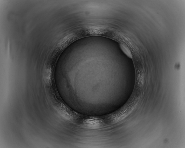 X0000101200219200806271358