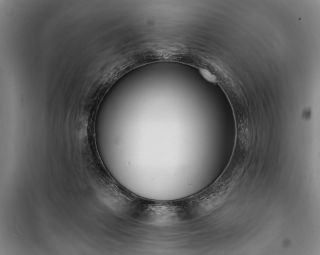 X0000101200221200806271358