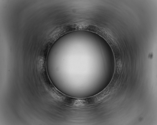 X0000101200222200806271358