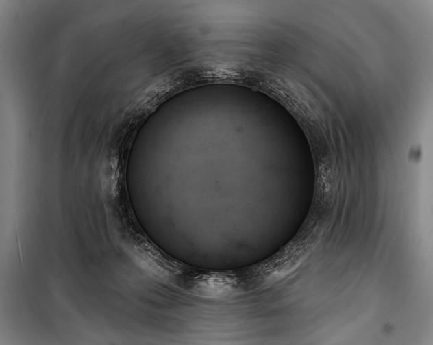 X0000101200223200806271358