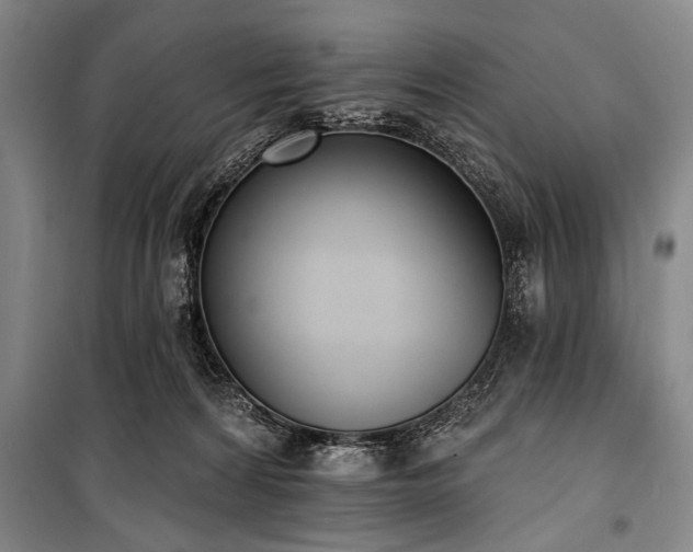 X0000101200224200806271358