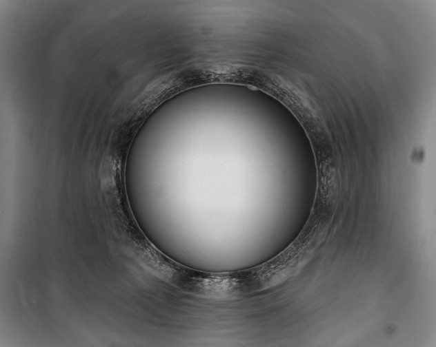 X0000101200225200806271358