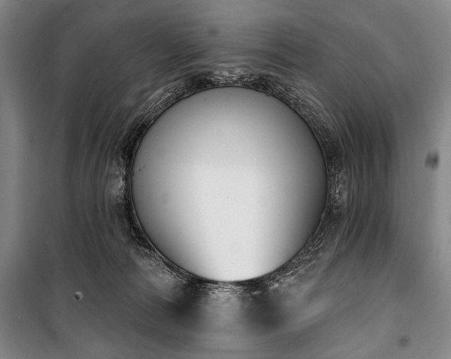 X0000101200226200806271358