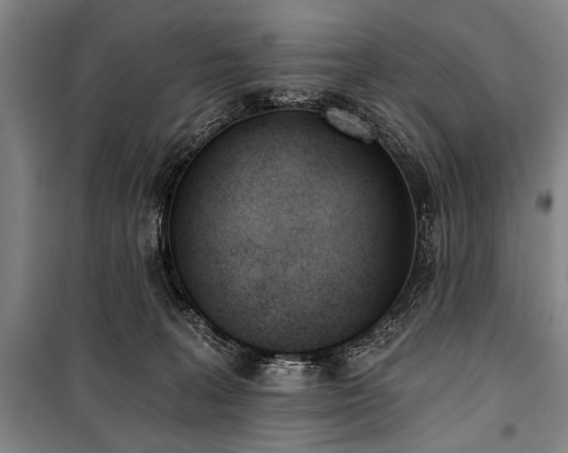 X0000101200227200806271358