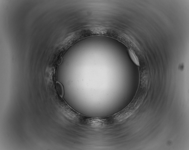 X0000101200229200806271358