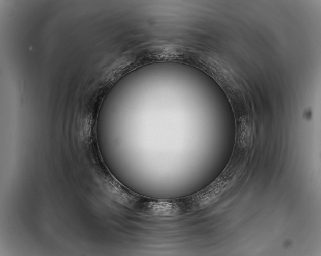 X0000101200230200806271358