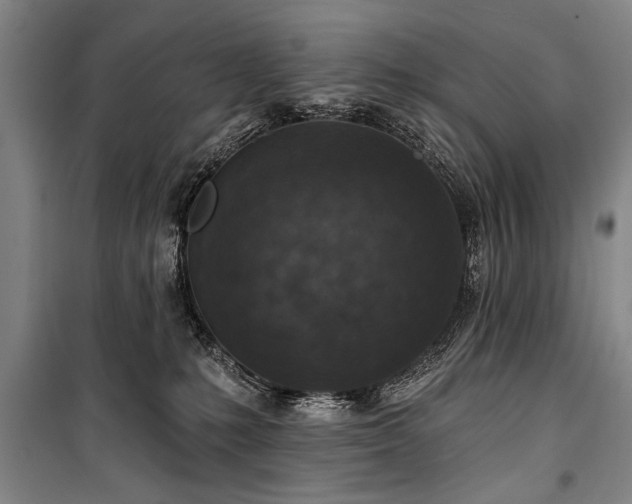 X0000101200231200806271358