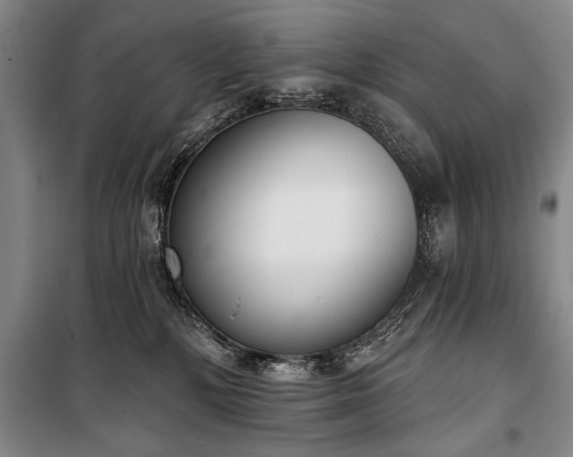 X0000101200232200806271358
