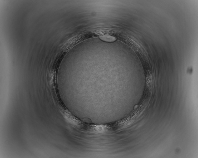 X0000101200233200806271358