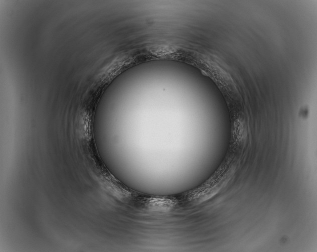 X0000101200234200806271358