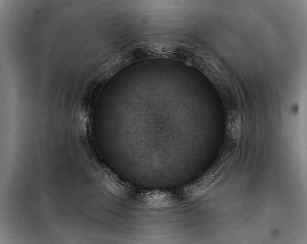 X0000101200235200806271358