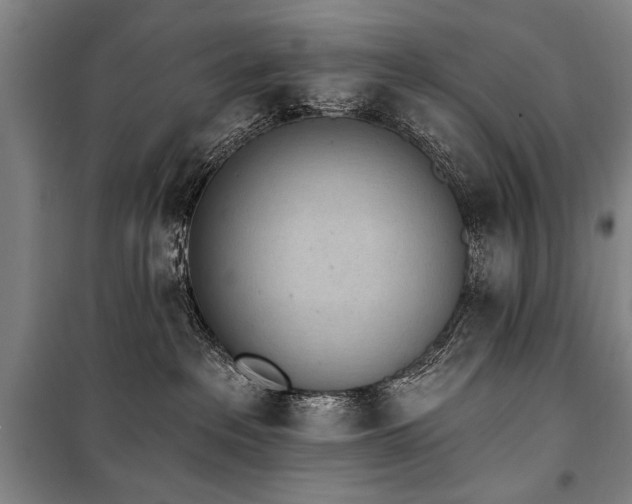 X0000101200237200806271358