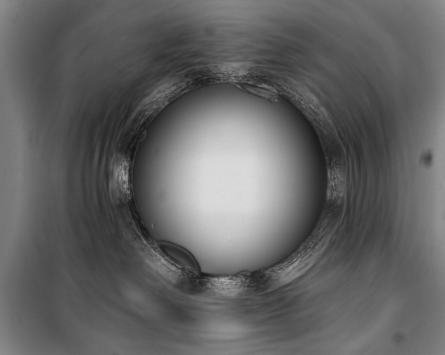 X0000101200238200806271358