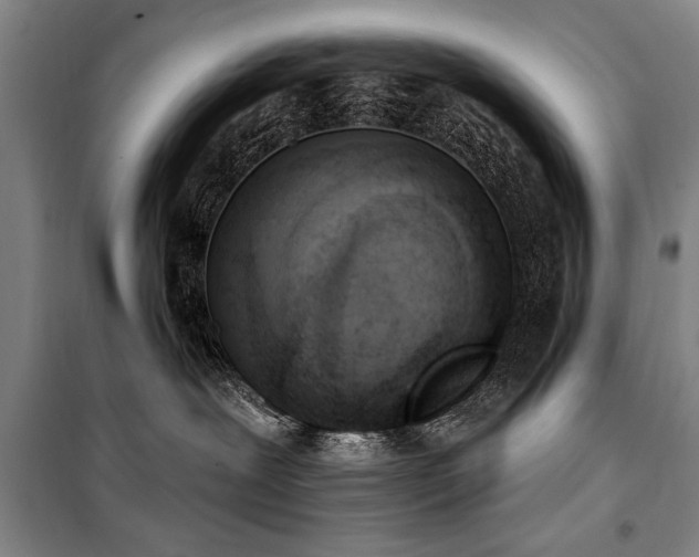 X0000101200239200806271358