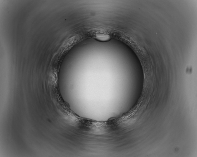 X0000101200240200806271358