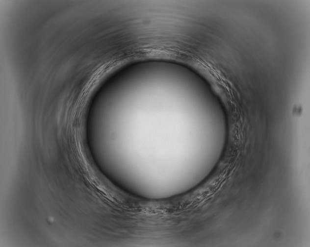 X0000101200241200806271357