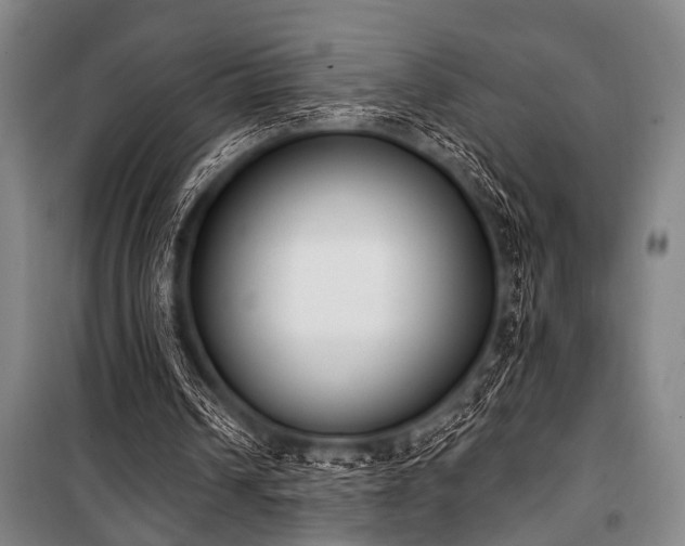 X0000101200242200806271357