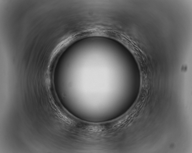 X0000101200245200806271357