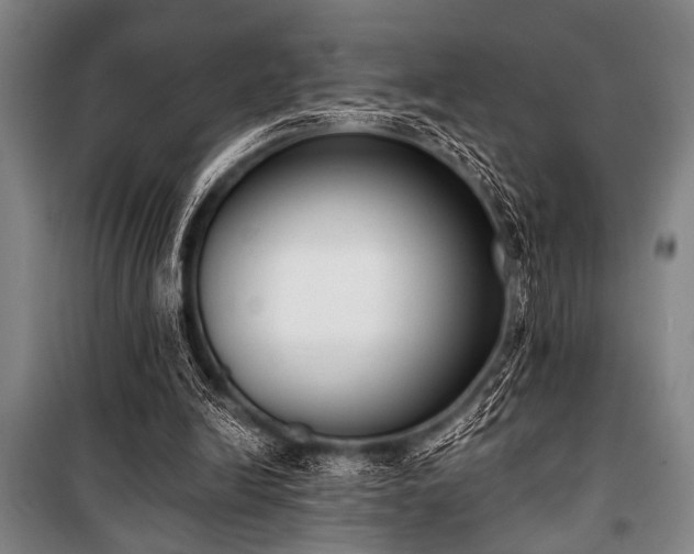 X0000101200246200806271357