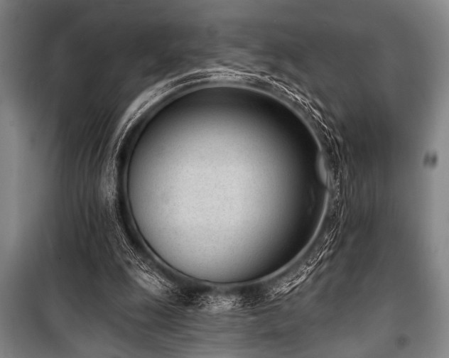 X0000101200247200806271357