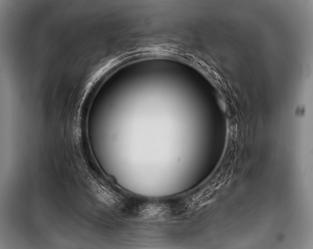 X0000101200248200806271357