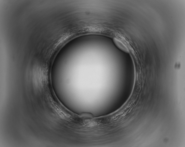 X0000101200249200806271357
