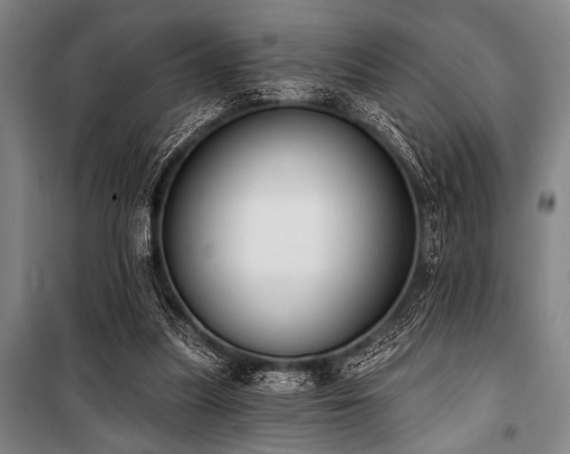 X0000101200251200806271357