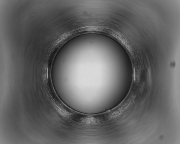 X0000101200253200806271357
