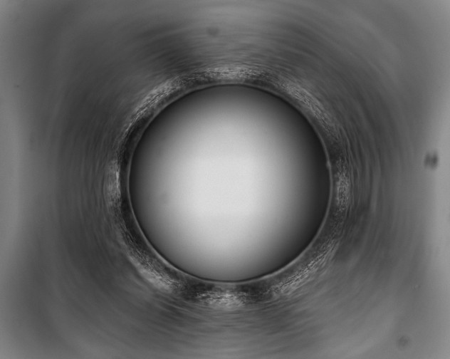X0000101200254200806271357