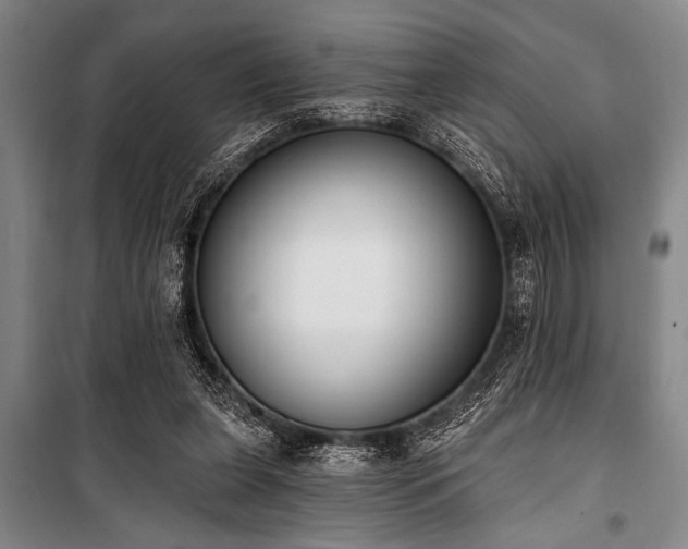 X0000101200255200806271357