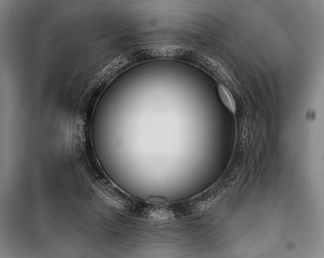 X0000101200258200806271357