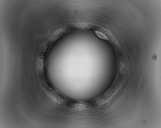 X0000101200259200806271357