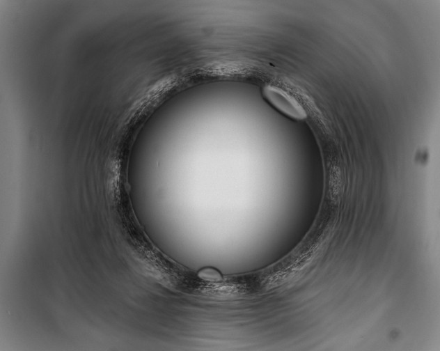 X0000101200260200806271357