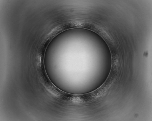 X0000101200262200806271357