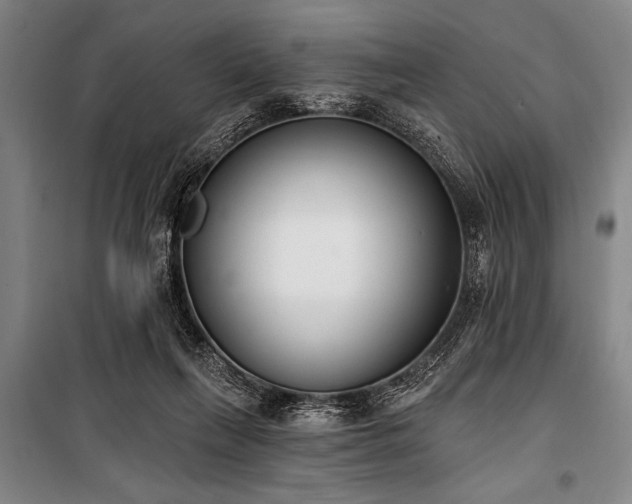 X0000101200263200806271358