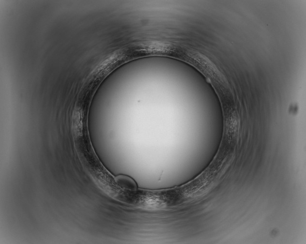 X0000101200264200806271358