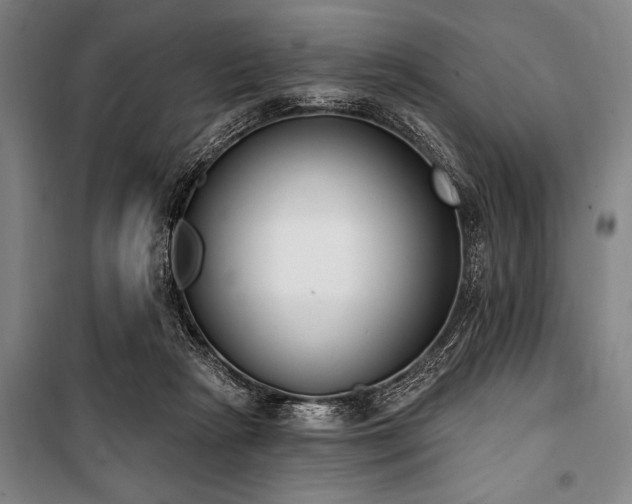 X0000101200265200806271358