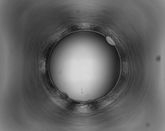 X0000101200267200806271358