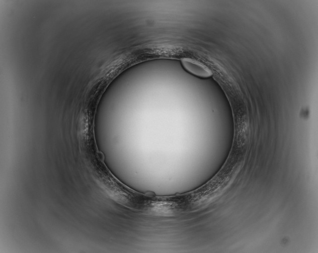 X0000101200268200806271358