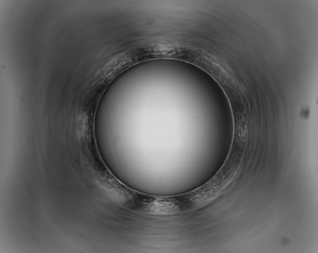 X0000101200270200806271358