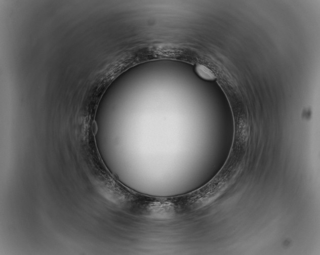 X0000101200271200806271358