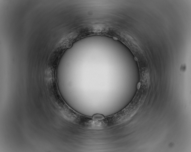 X0000101200272200806271358