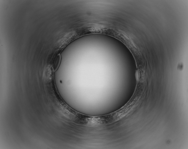 X0000101200273200806271358