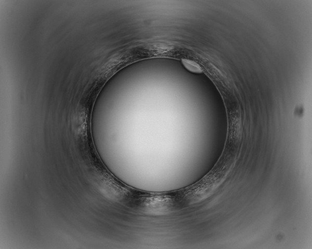 X0000101200274200806271358