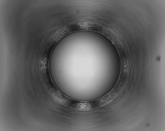 X0000101200275200806271358
