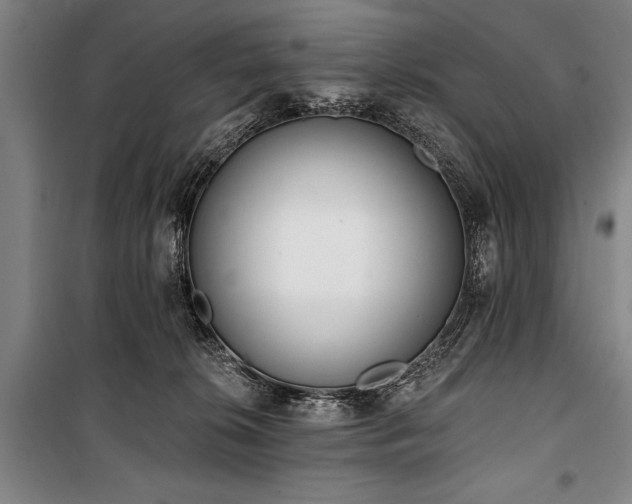 X0000101200276200806271358