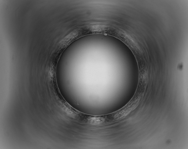 X0000101200277200806271358
