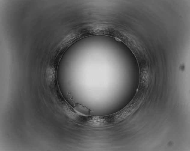 X0000101200278200806271358